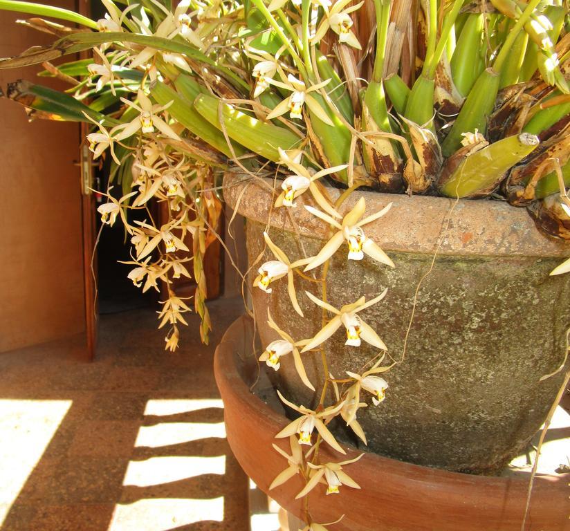 Meva Guesthouse Antananarivo Ngoại thất bức ảnh